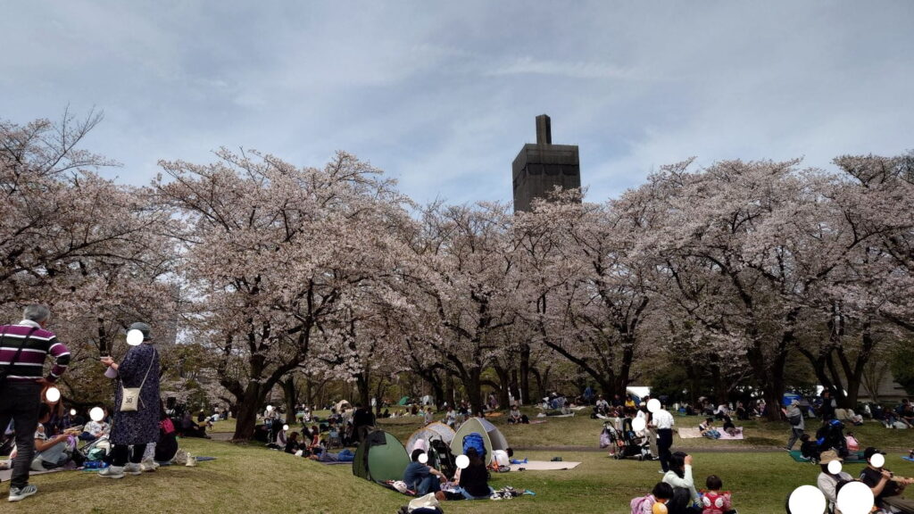 桜エリアの紹介